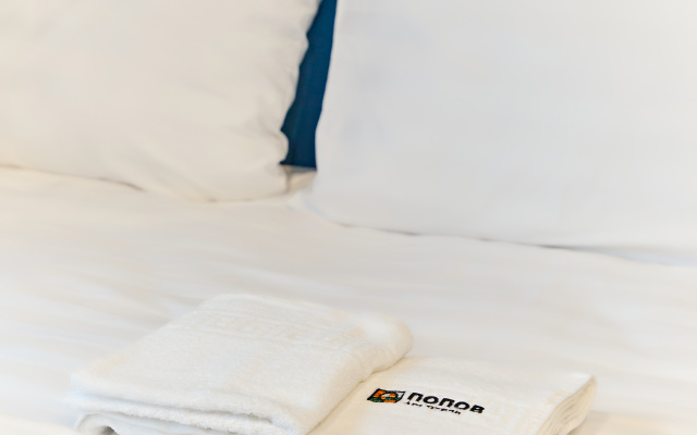 Hotel Popov Art Hotel