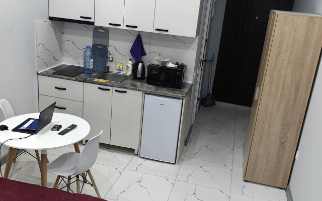 Uyutnaya studiya na beregu chernogo morya Apartments