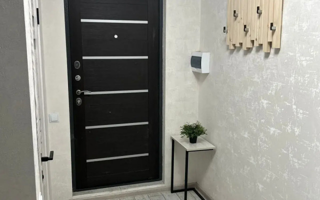 3-Kh Komnatnye U Aeroporta Apartments