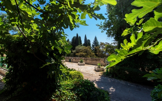 Villa Divny Mir Karasan 
