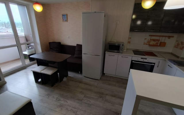 Квартира в центре в новом доме на Революционная 68