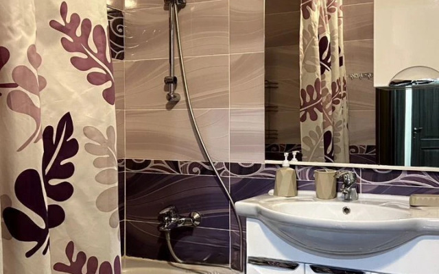 Квартира на Александра Покрышкина 2/2 407