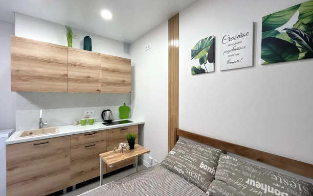 Квартира Студия у Ленты в новостройке