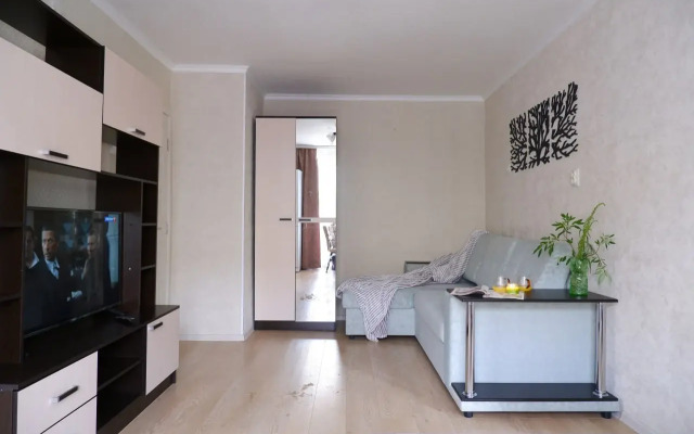 Dvukhkomnatnaya Kvartira Apartments