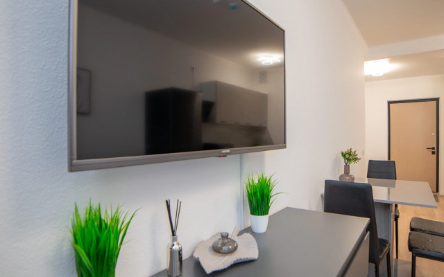 Апартаменты Гагарина 9 Серая