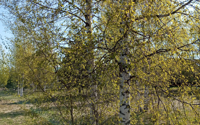 Гостевой дом Павловская Усадьба