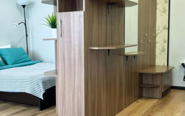 Квартира однокомнатная на Ломоносова 250