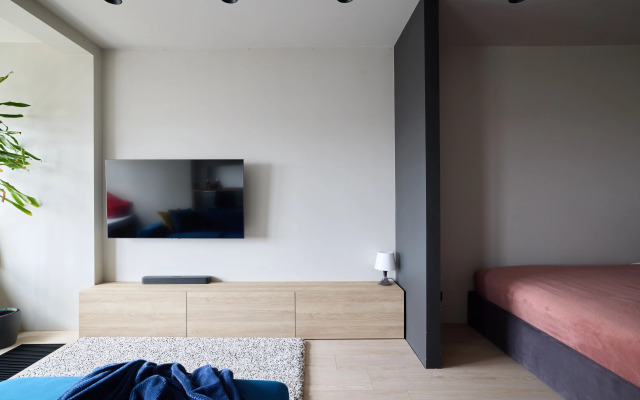 Loft Na Budapeshtskoy Apartments