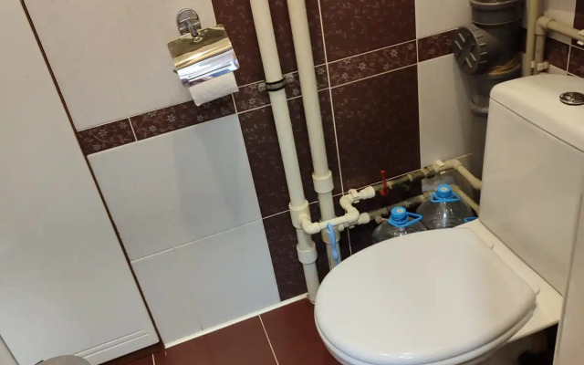 Квартира Большая в центре Кисловодска