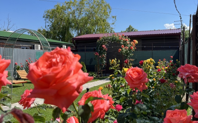 Veles Private House