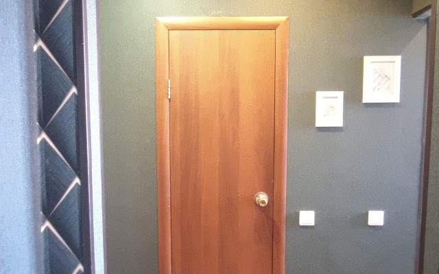 Odnokomnatnaya Okolo Aeroporta Im Pokryshkina Flat