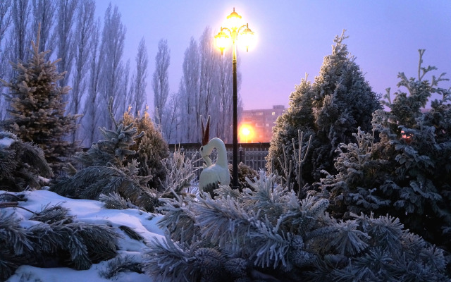 Отель Космос