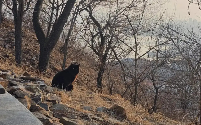 Sovremennaya 3-Komnatnaya v Tsentre Vladivostoka Flat