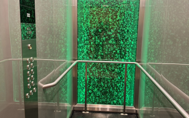 Квартира Уютная в Историческом Центре Города