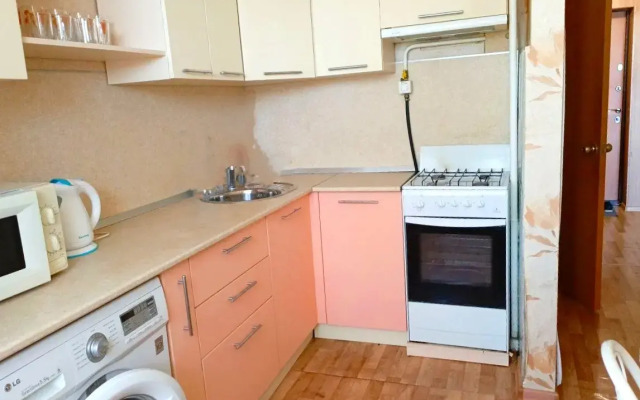 Khudozhnik Zhdyot Svoikh Gostey Flat