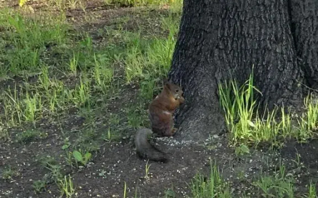 Апартаменты Причал 2