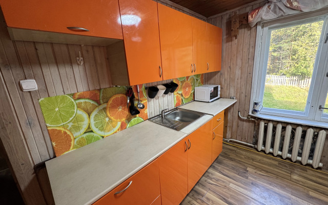 Частный дом Ретро-дача в Карельской деревне