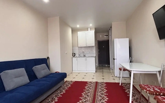 Квартира Студия 113 на улице Гайдара 22