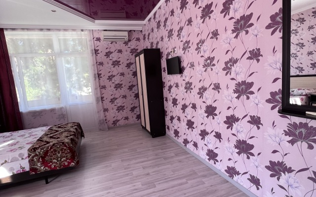 Na Vladimirskoy Guest house