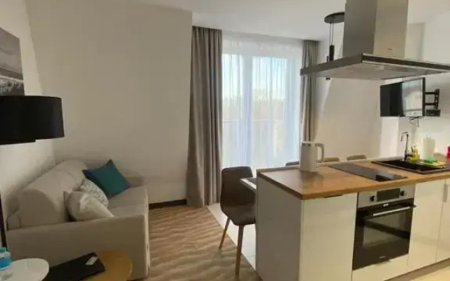 Апартаменты Двухуровневые Делюкс Park House