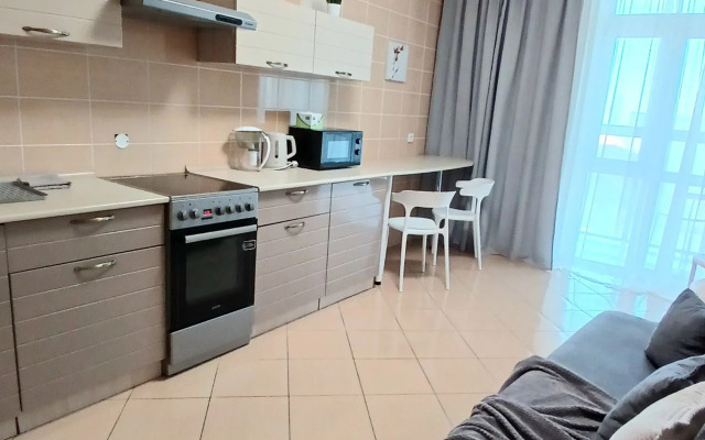 Квартира с видом на центральный стадион