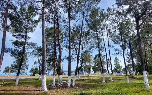 Sosnovy Bor Resort