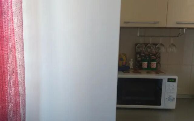 Апартаменты на Красноярской 4