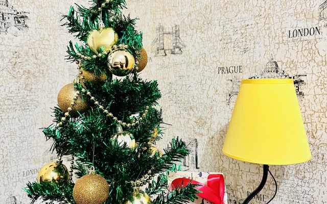 Квартира Уютная евродвушка около метро и разводным мостом