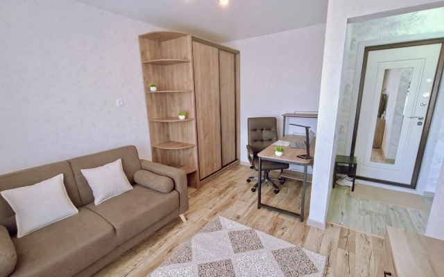 Odnomestnye apartamenty v tsentre Flat