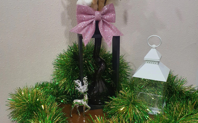 Квартира березовская 22