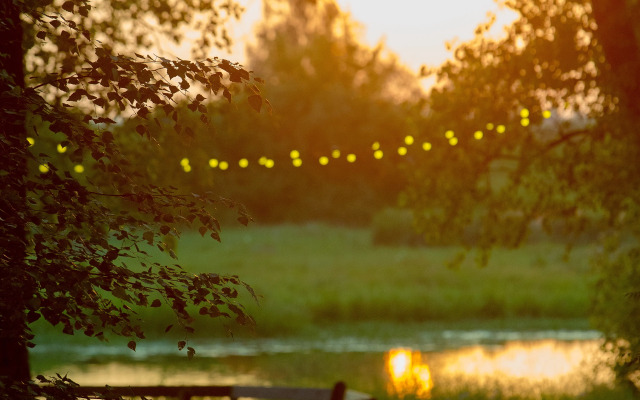 Tochka Nemo Glamping