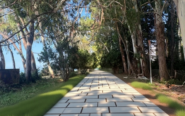 Отель Апсны