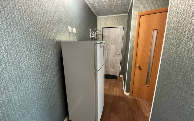 Ryadom s lyzhnoy bazoy metallurg Apartments