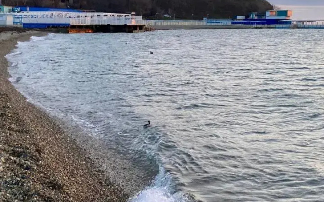 Квартира антидепрессант на 20 этаже