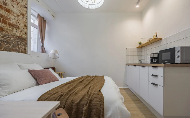 Studiya vo Fligele Starinnogo Doma Flat
