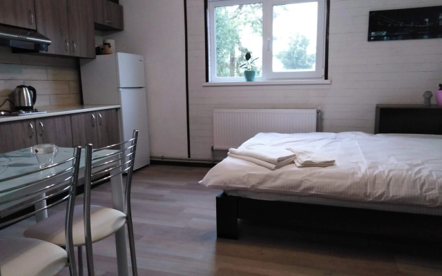 Апартаменты Olzhicha XXV