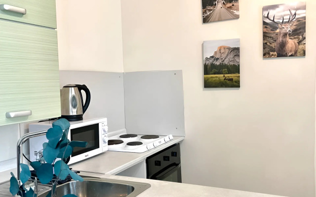 Квартира Уютная студия