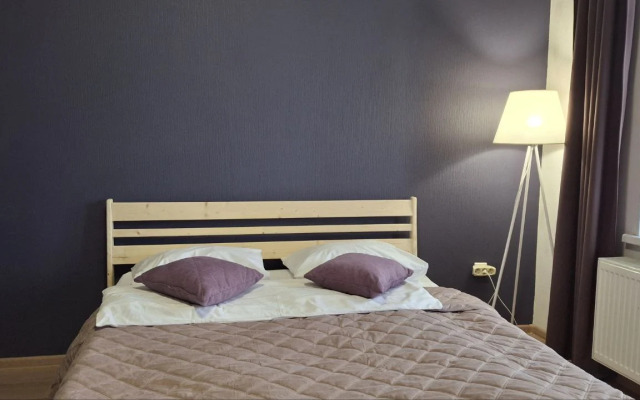 Квартира студия с видом на мост