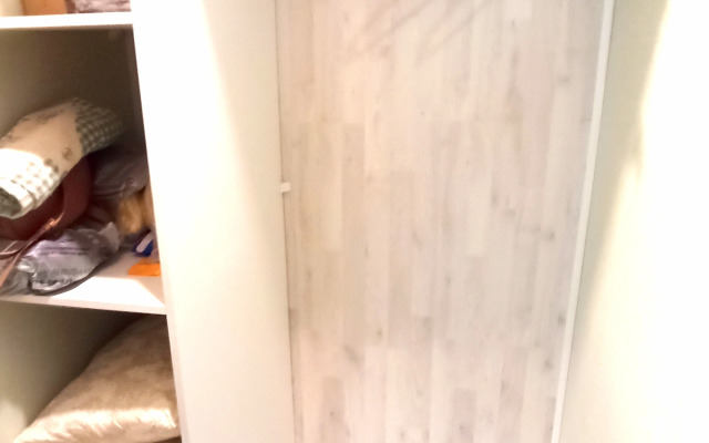 Uyutnaya V Tsentre Goroda Flat
