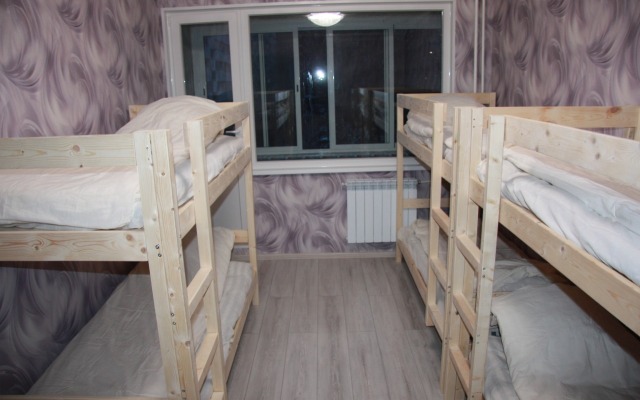 Severniy mishka Hostel