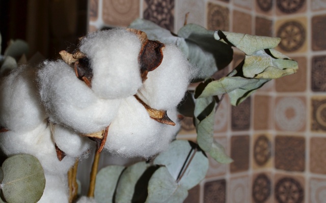 Апартаменты FamilyFlat на Вайнера