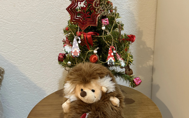 Квартира Студия БОХО в ЖК Сердце Ярославля