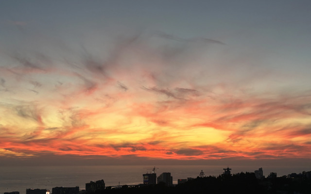 Квартира Меркато