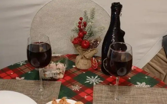 Частный дом Сфера в Лесу