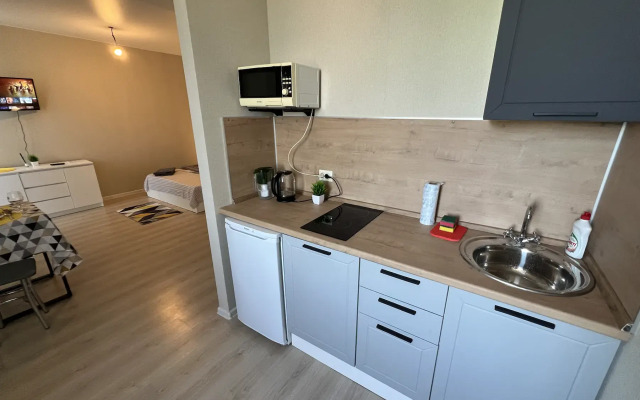 Апартаменты Лофт