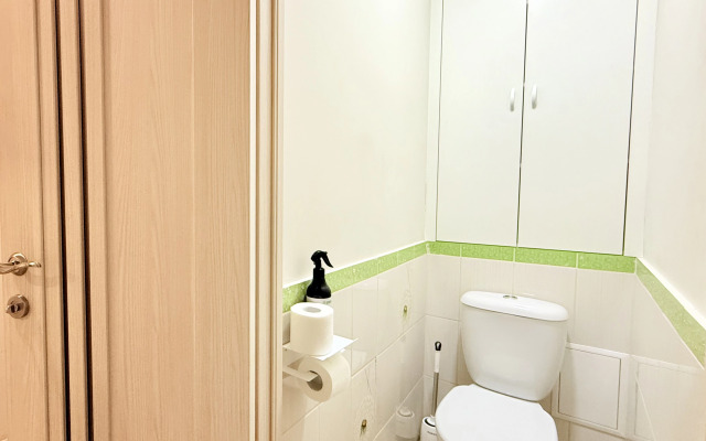 Stylish spacious near the center of Loginov Flat