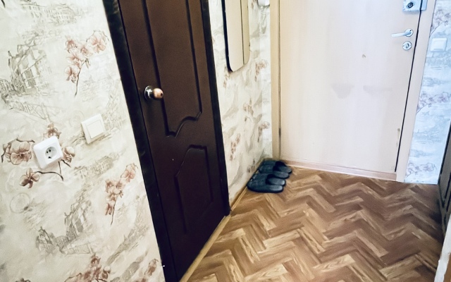 Tsentralnaya 17 Apartments