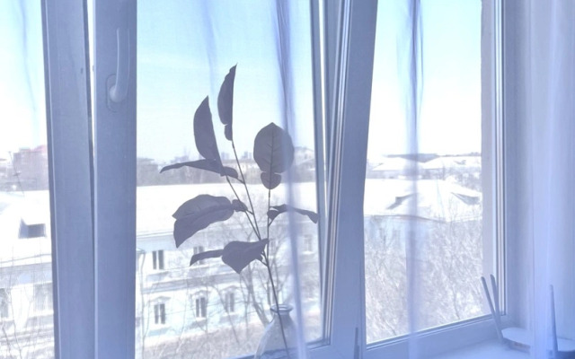 Апартаменты Двухкомнатные в Уссурийске