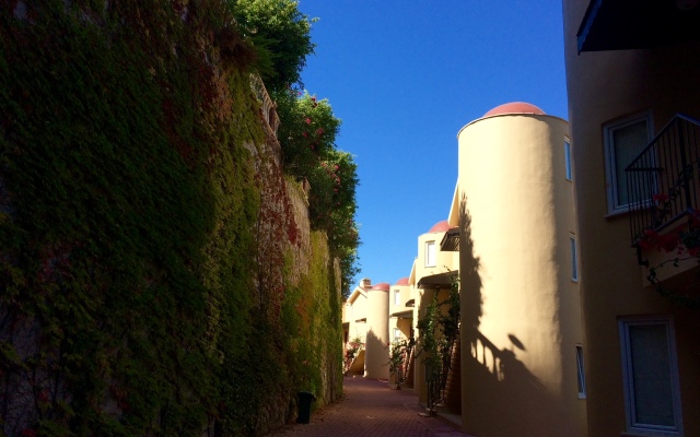 Апартаменты Уютная квартира в Голдсити