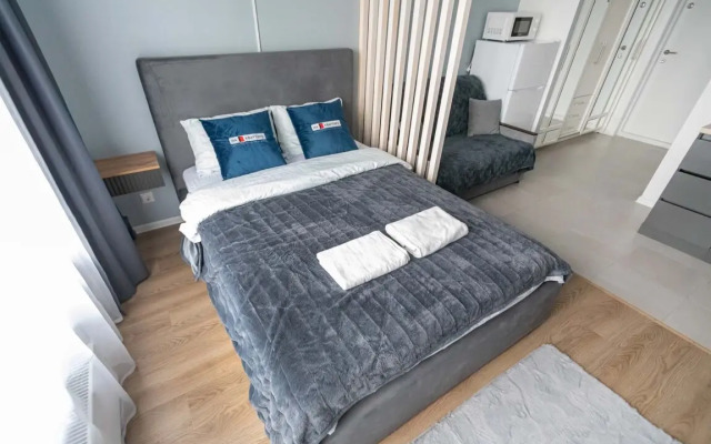 Apartments Komfort S Domashnim Kinoteatrom V Zhk Ilyinskie Luga